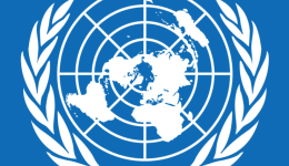Humanitarian Situation Update #280 | Gaza Strip